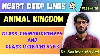 L13 Class Chondrichthyes amp Class Osteichthyes  Animal Kingdom  11th  NEET  Dr Shaheen Sir [upl. by Jesher]