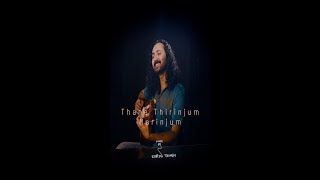 താനേ തിരിഞ്ഞും മറിഞ്ഞും I THANE THIRINJUM I Everlasting Malayalam Film Song I Cover by ROBIN THOMAS [upl. by Tien]