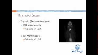 Feline Hyperthyroidism The Disease Imaging amp Treatment with Seth Wallack DVM DACVR [upl. by Sela]