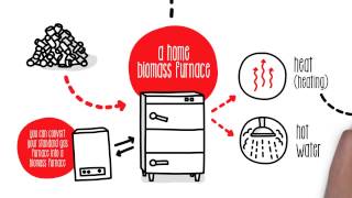 How does biomass work  Sustainability [upl. by Thurber]