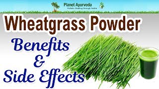 Wheatgrass Powder  Benefits amp Side Effects [upl. by Alled]