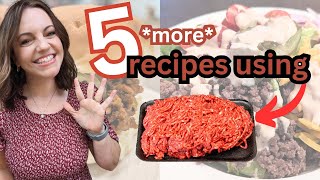 5 MORE Ground Beef recipes SO GOOD [upl. by Havens]