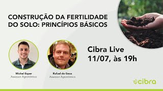 Construção da Fertilidade do Solo Princípios Básicos [upl. by Pip]