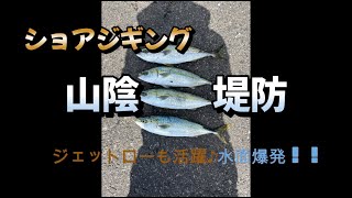 （ショアジギング・弓角）18 山陰堤防 青物狙い行ってきました♪ 2024 04 01 [upl. by Germayne]