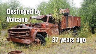 What I found on Mt St Helens 37 years after the eruption [upl. by Jari]