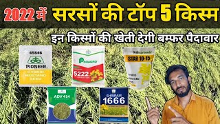 सरसों की टॉप 5 किस्म  2022 me sarso ki top 5 hybrid kism  sarso ki kheti [upl. by Jobina481]