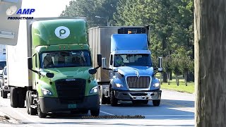 Truckspotting Freightliner Cascadia International LT Publix 101124 [upl. by Ynnol152]