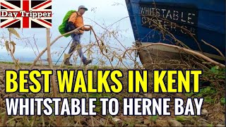 Best Walks in Kent  Saxon Shore Way Whitstable to Herne Bay and Reculver Day Tripper Vlog 45 [upl. by Thaddeus]