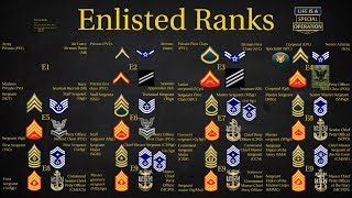 US Military All Branches ENLISTED Ranks Explained [upl. by Janette]