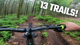 DIE BESTEN TRAILS FÜR ANFÄNGER Michelstadt Mi1  Odenwald MTBTour  Jordan Hugo [upl. by Alysa]