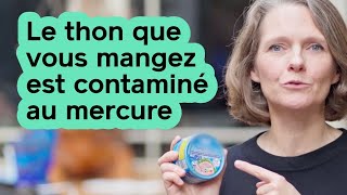 Le thon que vous mangez est contaminé au mercure [upl. by Randell761]