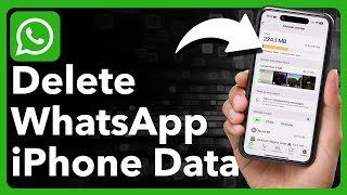 How To Delete WhatsApp Data On iPhone [upl. by Ykvir]