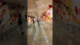 TERMINAL 3 LUCKNOW AIRPORT shorts ytshorts viralvideo airport travel lucknow trending trip [upl. by Akiras484]