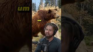 The Mysterious Mexican Grizzly Bear  Extinction Revisited  Forrest Galante on JRE 1403 [upl. by Sells368]