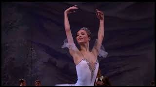 DON QUIXOTE  Queen of the Dryads Ekaterina Shipulina  Bolshoi Ballet [upl. by Harsho]