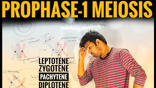 Prophase1  Meiosis Part3  Vinay Biology [upl. by Asselam]