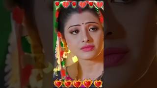 ✿⁠☉⁠｡⁠☉chintu panday sad status song love music bhojpuri newsong trending trendingshorts sad [upl. by Binette879]