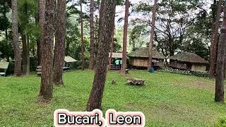 Iloilo  Bucari Pine Forest Leon [upl. by Alisia]