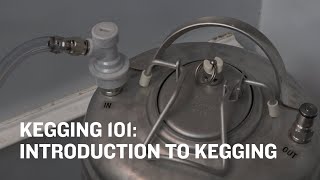 Northern Brewer University  Kegging 101 Intro to Kegging Trailer [upl. by Epuladaugairam253]