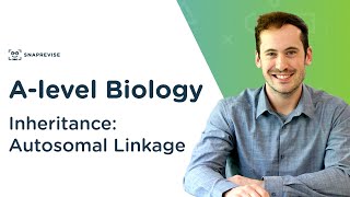 Inheritance Autosomal Linkage  Alevel Biology  OCR AQA Edexcel [upl. by Feldstein]