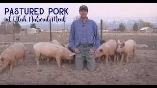 Why Our Natural Pork Is Better [upl. by Eiramalegna]