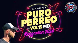 Puro Perreo Vol15 Mix by Nayef Qva Bad Bunny Feid Karol G J Balvin Daddy Yankee Jay Wheeler [upl. by Bill139]