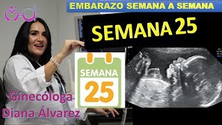 SEMANA 25 EMBARAZO SEMANA A SEMANA POR GINECOLOGA DIANA ALVAREZ [upl. by Namzzaj]