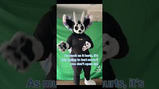 1 Hour Of Furry TikToks That Will Make Your Mouth Water 1 [upl. by Riesman]