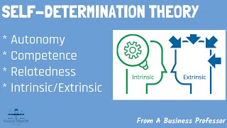 SelfDetermination Theory  Organizational Behavior  From A Business Professor [upl. by Nolra]