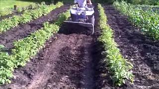 hilling potatoes with ATV [upl. by Nickles439]