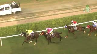 ALL TIME LEGEND wins The Comedy Of Errors Handicap [upl. by Treve]