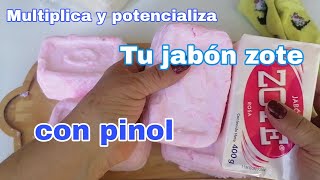 Multiplica y potencializa tu jabón zote con pinol [upl. by Madora670]