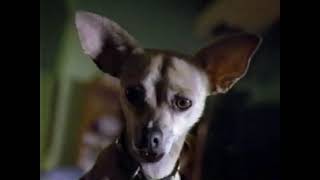 Taco Bell 1998 Television Commercial  Mexican Pizza  Chihuahua [upl. by Deloria]