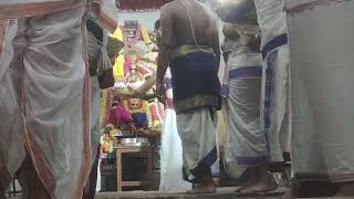 mylapore Madavapwrumal  Peiazhwar avathara utsavam satrumurai  Divyadesam bahumanam [upl. by Attem]