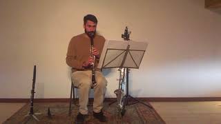 Clarinet orchestral excerpts  Rimsky Korsakov Le coq dor [upl. by Imelida]