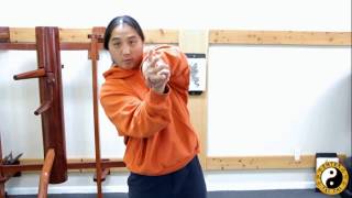 There Are 4 Basic Wrist Locks  The Wrist Is Very Easy To Break When You Know How  Kung Fu Training [upl. by Olympia]