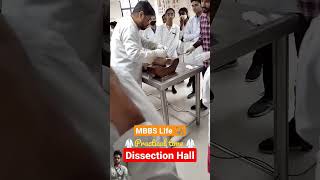 MBBS LIFE🩺 PRACTES Life 🩺🩺👩‍⚕️ Dissection hail Status yootube mbbs need motivation [upl. by Anastase]