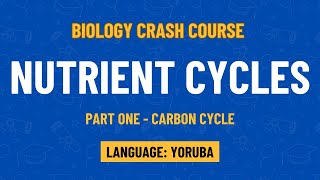 Nutrient Cycles  Part One Carbon Cycle  Mr Kehinde Salman Oniyide [upl. by Ahcropal303]