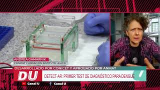 Kit DetectAR Primer test de diagnóstico para dengue [upl. by Eleira]