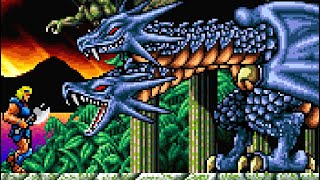 Astyanax Arcade All Bosses No Damage [upl. by Dreddy]