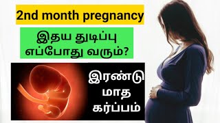 pregnancy tips in tamil  baby heartbeat in pregnancy in tamil  2nd month pregnancy in tamil [upl. by Adeys]