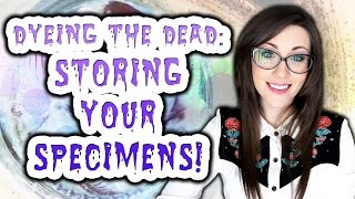 Dyeing The Dead  EP 10 Storing Your Specimens [upl. by Annay]