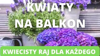 Kwiaty na balkon Kwiecisty raj dla każdego Jakie rośliny wybrać Jakie kompozycje zrobić [upl. by Leeda]