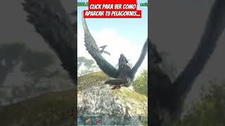 APARCANDO EL PELAGORNIS 💥ARK💥 [upl. by Ikciv51]