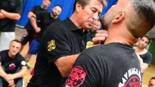 VIII SEMINARIO KRAV MAGA KAPAP FEAM GALICIA TML [upl. by Ahsenik]