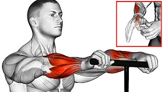 The Best 8 Forearm Exercises at Home [upl. by Volny]