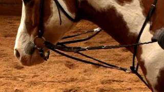 April Reeves  The German Martingale [upl. by Catharina]