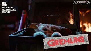 Gremlins 1984  Billy meets Gizmo for the first time [upl. by Ainoek703]