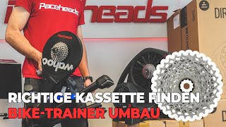 Die richtige Kassette finden  Fahrrad Kassetten verstehen für IndoorTraining  Rollentrainer Umbau [upl. by Beare]