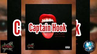 Megan Thee Stallion  Captain Hook Captain Hook Maine Remix [upl. by Sibylle671]